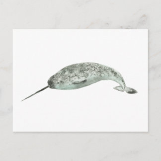 Carte Postale Narwhal whale watercolor