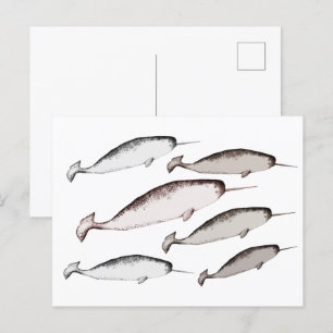 Carte Postale Narwhals Swim - Narwhal Whale Illustration Cadeau
