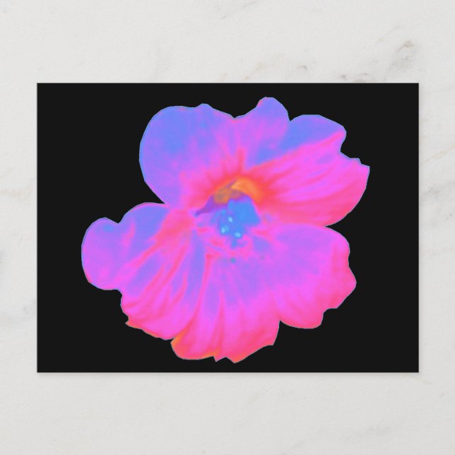Carte postale Nasturtium rose (Devant)