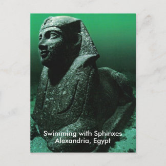 Carte Postale Natation avec sphinx