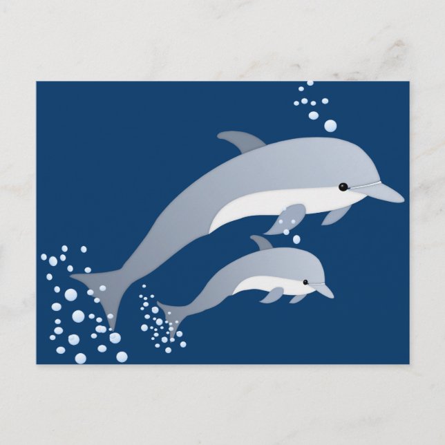 Carte Postale Natation Dauphins (Devant)