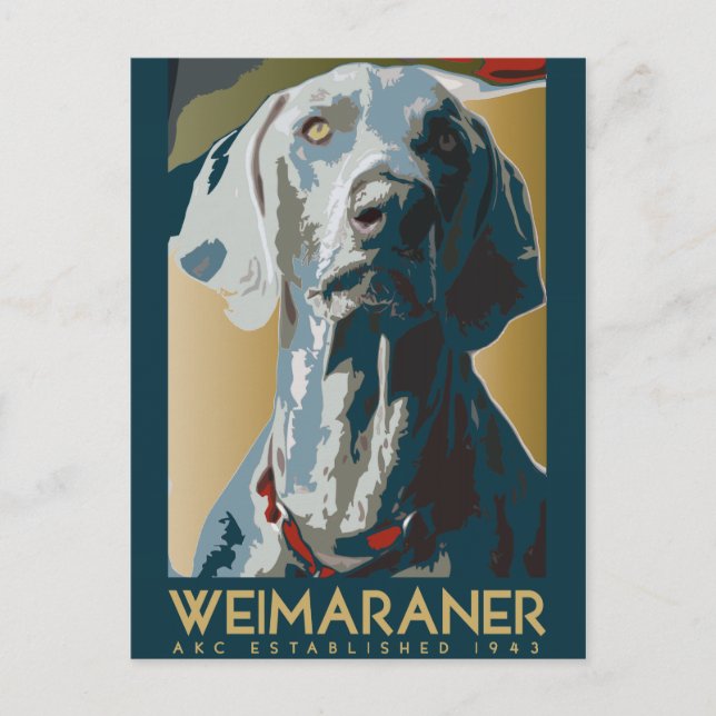 Carte Postale Nation Weimaraner : Weimaraner 1943 (Devant)