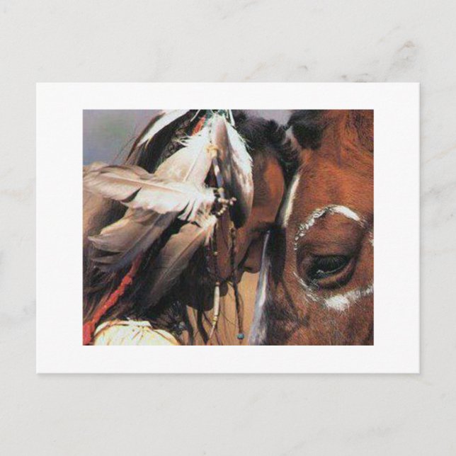 CARTE POSTALE NATIVE AMERICAN (Devant)