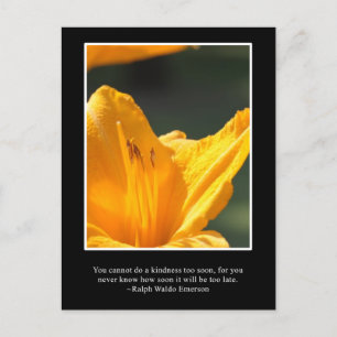 Carte Postale N'attendez pas trop longtemps pour faire bonté