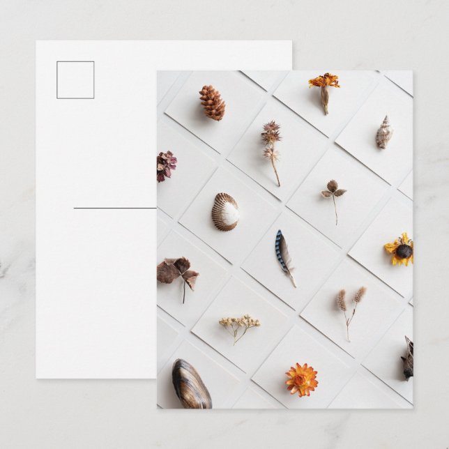 Carte Postale Natural Specimen Collection Minimalist (Devant / Derrière)