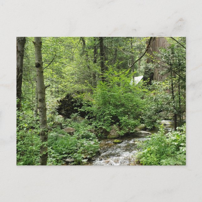 Carte postale Nature (Devant)