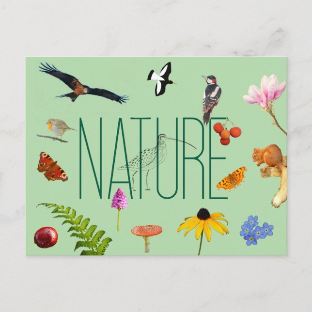 Carte postale Nature (Devant)