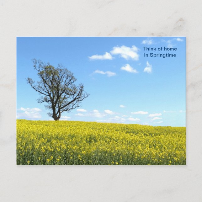 Carte postale Nature (Devant)