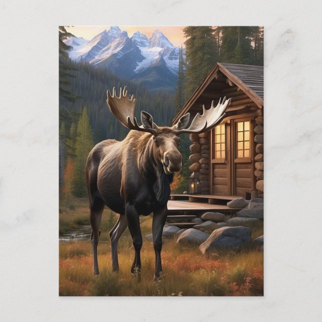 Carte Postale *~* Nature AP49 MOOSE Woods Forest Dusk Mountains (Devant)