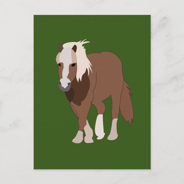 Carte Postale Nature de cheval animal (Devant)