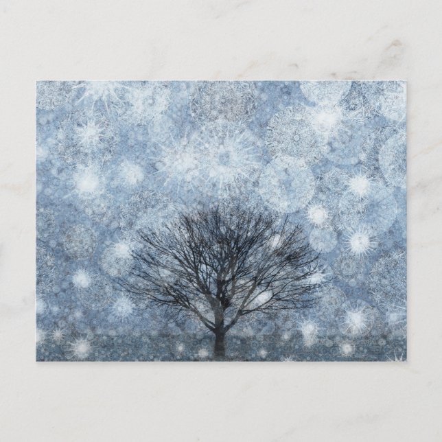 Carte Postale Nature de la survie (Devant)