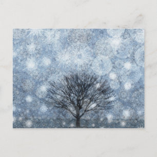 Carte Postale Nature de la survie