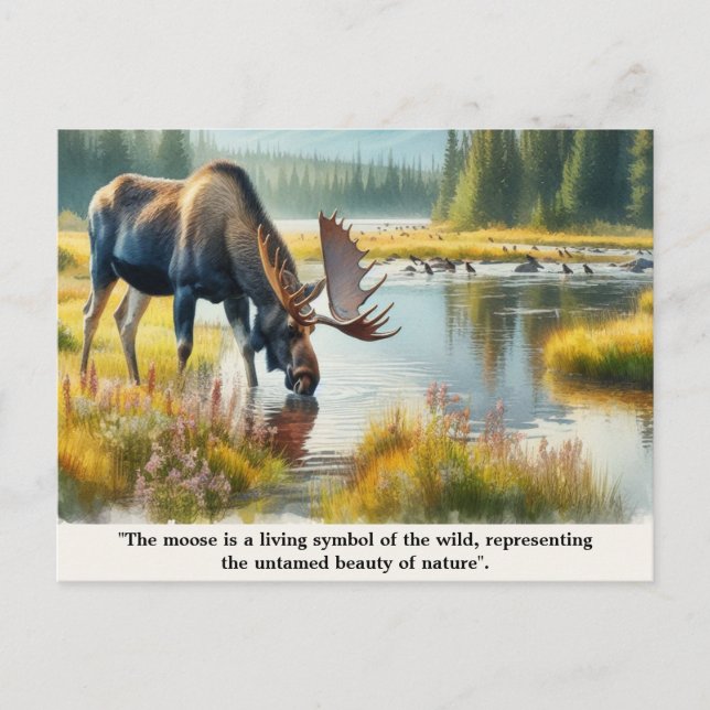 Carte Postale Nature Faune et flore Élan avec citation  (Devant)