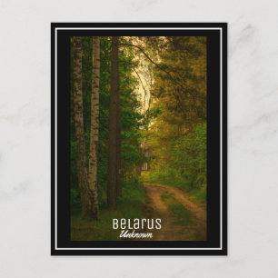Carte Postale Nature Forêt Village Rural Cabine Biélorussie Inco
