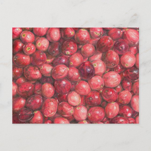 Carte Postale Nature morte aux canneberges (Devant)