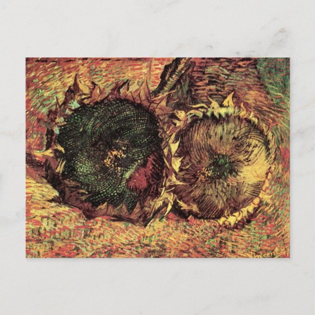 Carte Postale Nature morte Deux tournesols coupés par Vincent va (Devant)