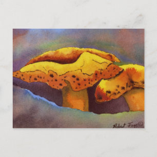 Carte postale Nature Oddities