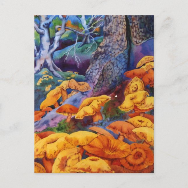 Carte postale Nature Oddities (Devant)