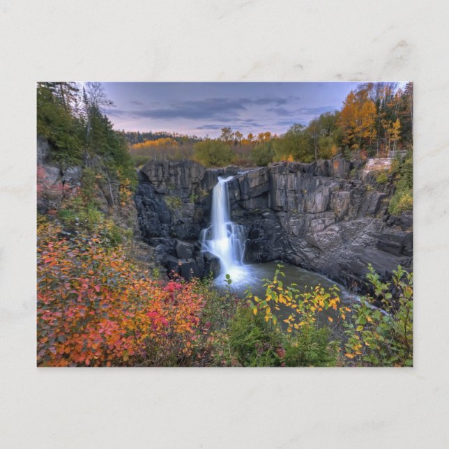 Carte Postale Natures magiques (Devant)