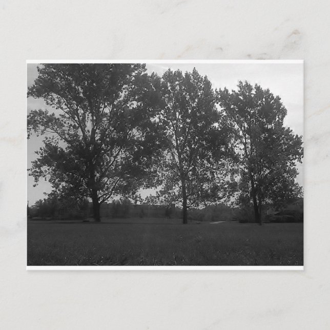 Carte Postale Natures Triplets Croissant Avec Le Vent (Devant)