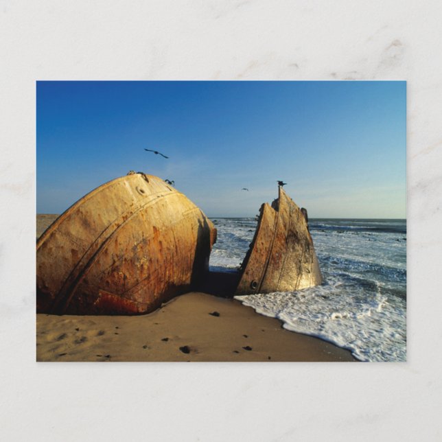 Carte Postale Naufrage sur la plage, Skeleton Coast, Namibie (Devant)