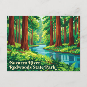 Carte Postale Navarro River Redwoods State Park Californie