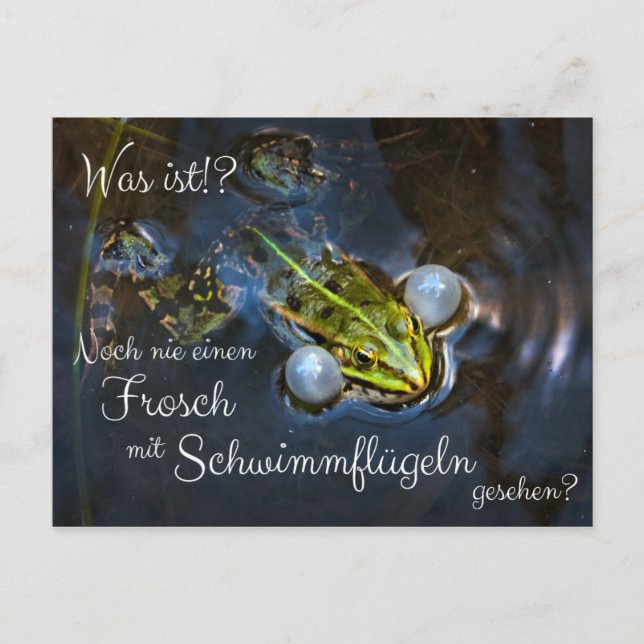 Carte Postale N'avez-vous jamais vu une grenouille avec des nage (Devant)