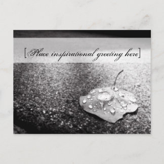 Carte postale - Navire