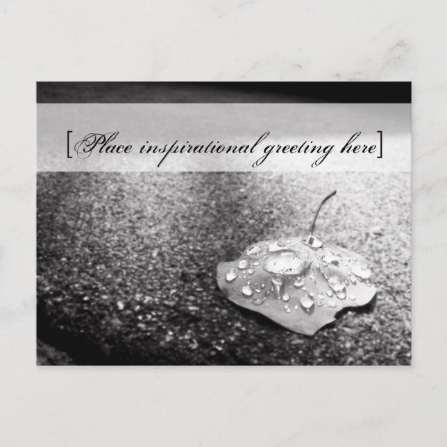 Carte postale - Navire (Devant)