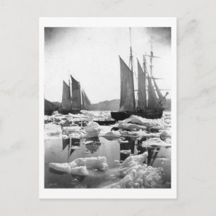 Carte Postale Navires à voile dans un champ de glace - 1869 Phot