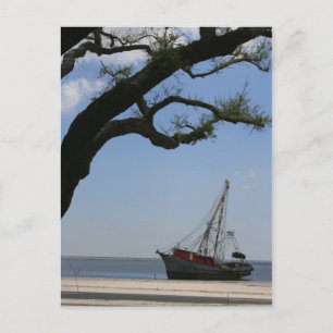 Carte Postale Navires Ahoy Post Card