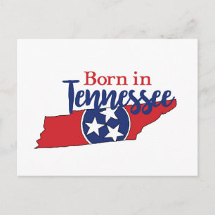 Carte Postale Né dans le Tennessee Symboles de l'État État volon