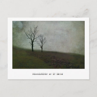 Carte Postale Ne dites pas de mots amers -