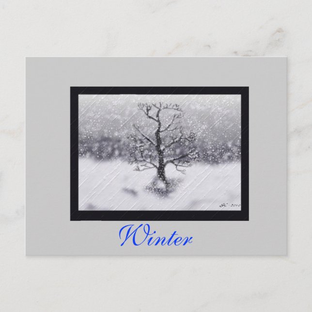 Carte Postale Né en hiver (Devant)