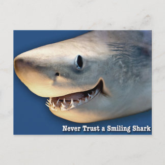 Carte Postale Ne jamais faire confiance à un requin souriant