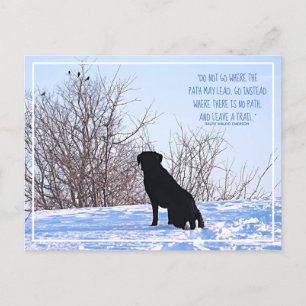 Carte Postale Ne Pas Aller Là Où Le Chemin Peut Mener À La Citat