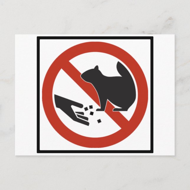 Carte Postale Ne pas nourrir les écureuils (Devant)