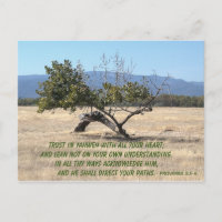 Ne pas vous soucier de votre propre compréhension