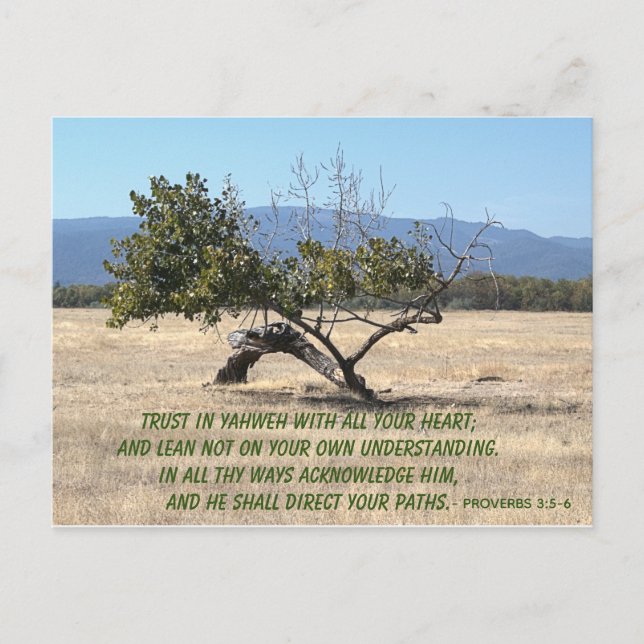 Carte Postale Ne pas vous soucier de votre propre compréhension (Devant)