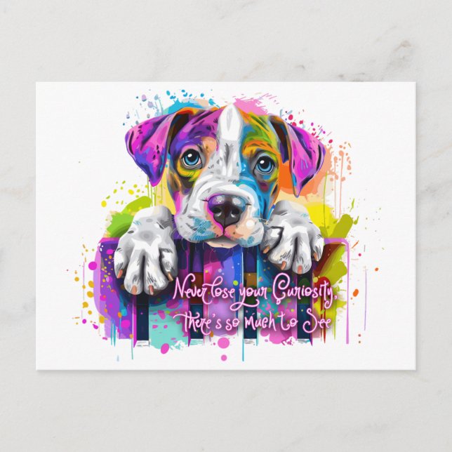Carte Postale Ne perdez jamais votre curiosité, il y a tellement (Devant)