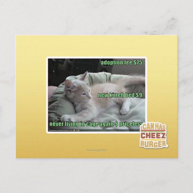 Carte Postale Ne plus jamais vivre dans une cage (Devant)