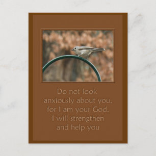 Carte Postale ne regardez pas anxieusement à propos de vous oise