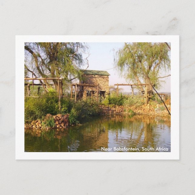 Carte Postale Near Babsfontein, Afrique du Sud (Devant)