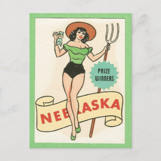 Carte Postale Nebraska pin Vintage fille Voyage