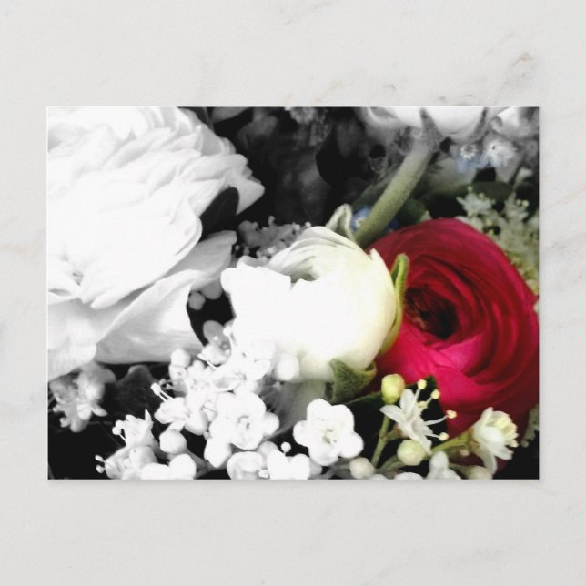 Carte Postale Nébuleuse de Rosenweisse (Devant)