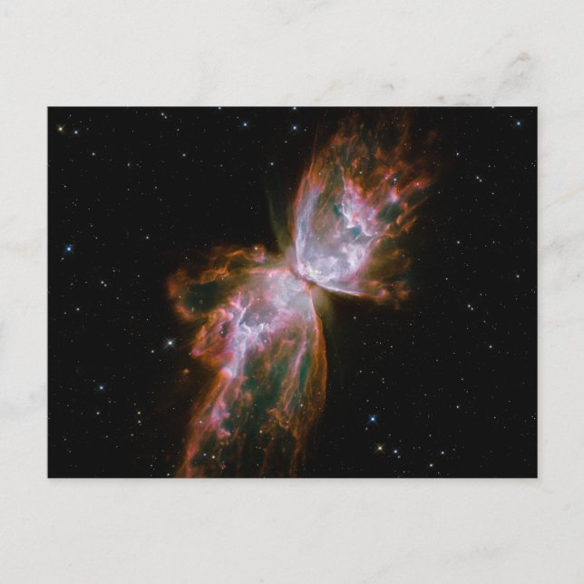 Carte Postale Nébuleuse du Papillon (Devant)