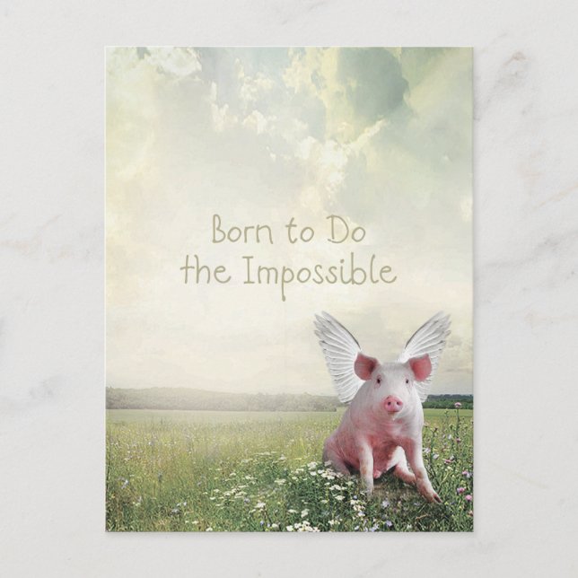 Carte Postale Née pour faire l'impossible Cochon Volant  (Devant)