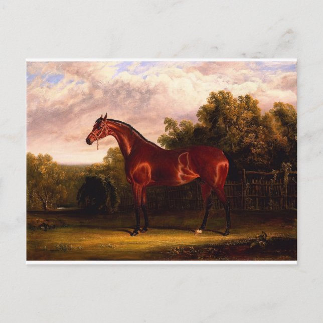 Carte Postale Négociateur (Devant)