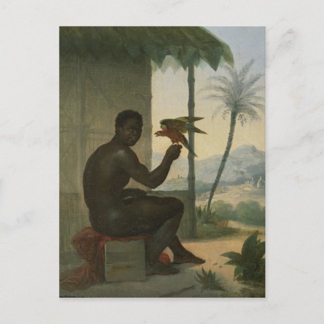 Carte Postale Nègre brésilien avec un oiseau tropical (Devant)