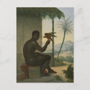 Carte Postale Nègre brésilien avec un oiseau tropical